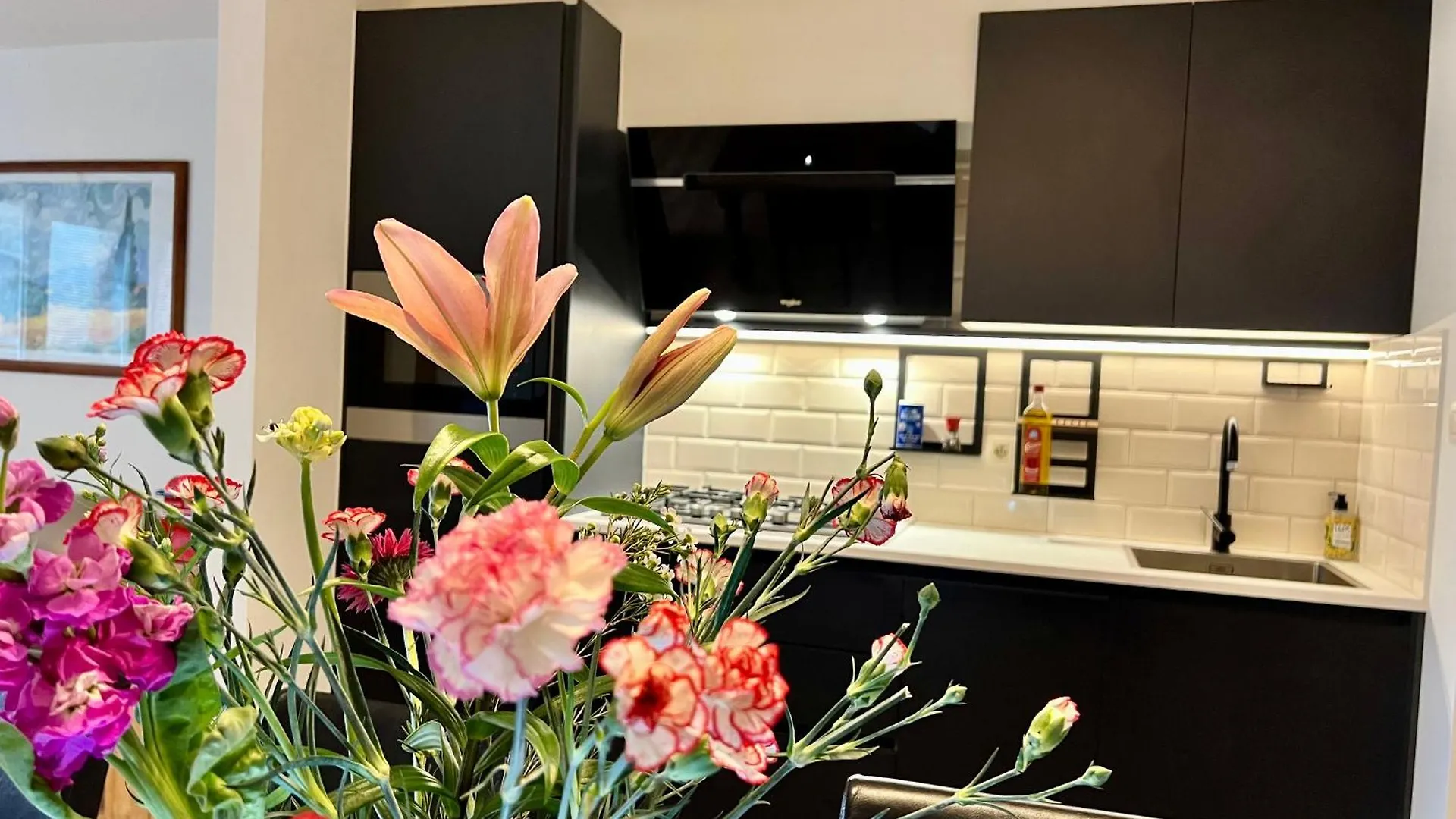 Elegant 3-Bedroom Apartment 安特卫普 比利时